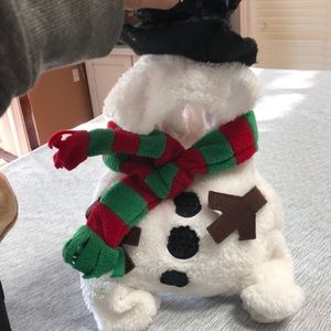Snowman costume for little dog